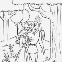 Desenhos para colorir A Bela Adormecida