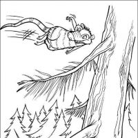 Desenhos para colorir A Era do Gelo
