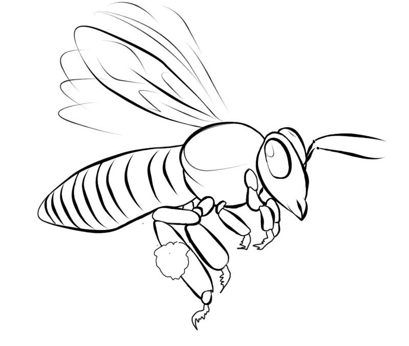 Desenho para colorir