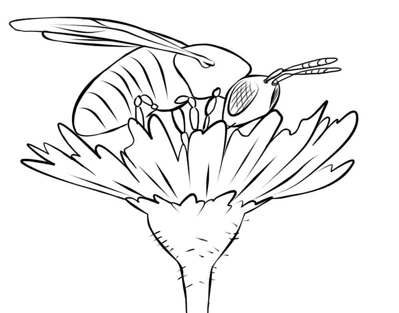 Desenho para colorir