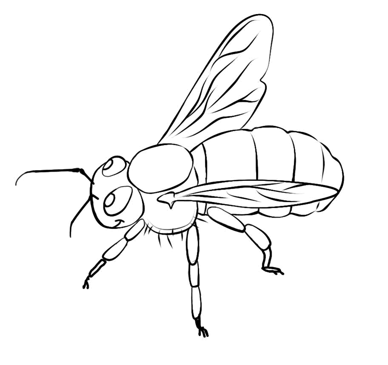 Desenho para colorir