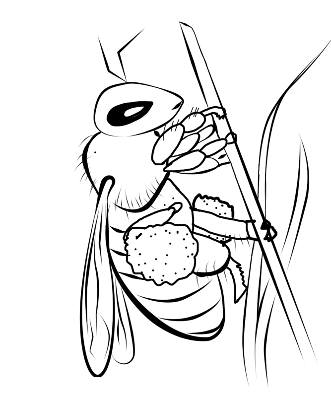 Desenho para imprimir