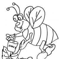 Desenhos para colorir Abelhas
