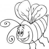 Abelhas