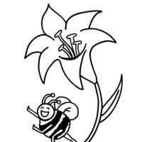 Desenhos para colorir Abelhas