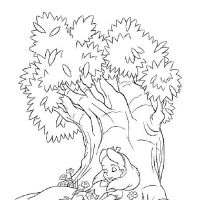 Desenhos para colorir Alice no país das maravilhas