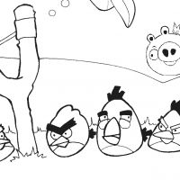 Desenhos para colorir Angry Birds