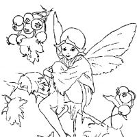 Anjos