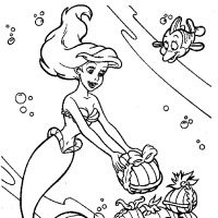 Desenhos para colorir Ariel
