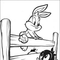 Desenhos para colorir Baby Looney Tunes