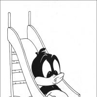 Desenhos para colorir Baby Looney Tunes