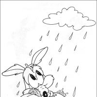 Desenhos para colorir Baby Looney Tunes
