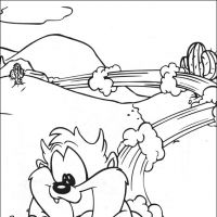 Desenhos para colorir Baby Looney Tunes