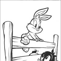 Desenhos para colorir Baby Looney Tunes