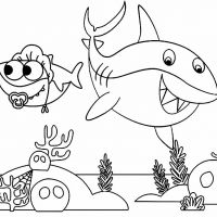 Desenhos para colorir Baby Shark