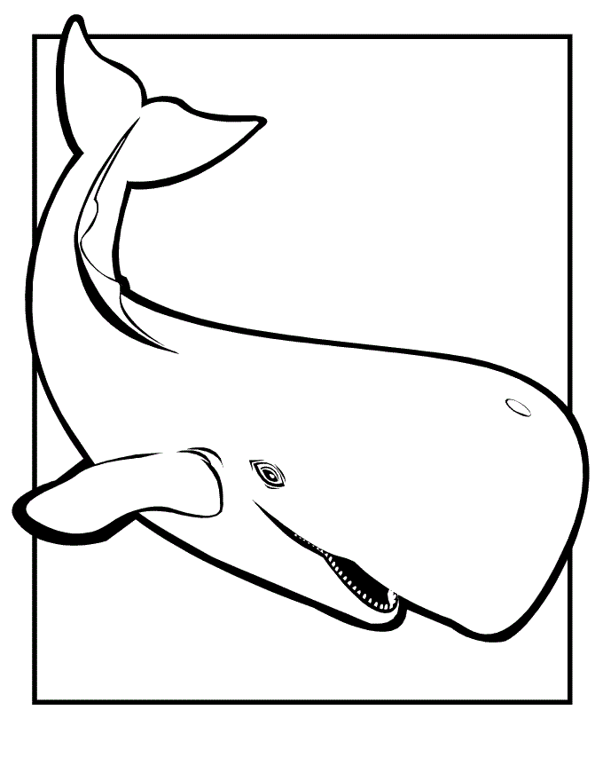 Desenho para colorir