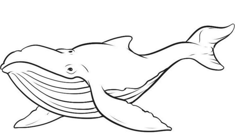 Desenho para colorir