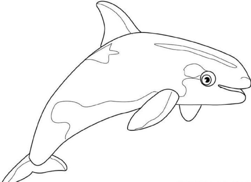 Desenho para imprimir