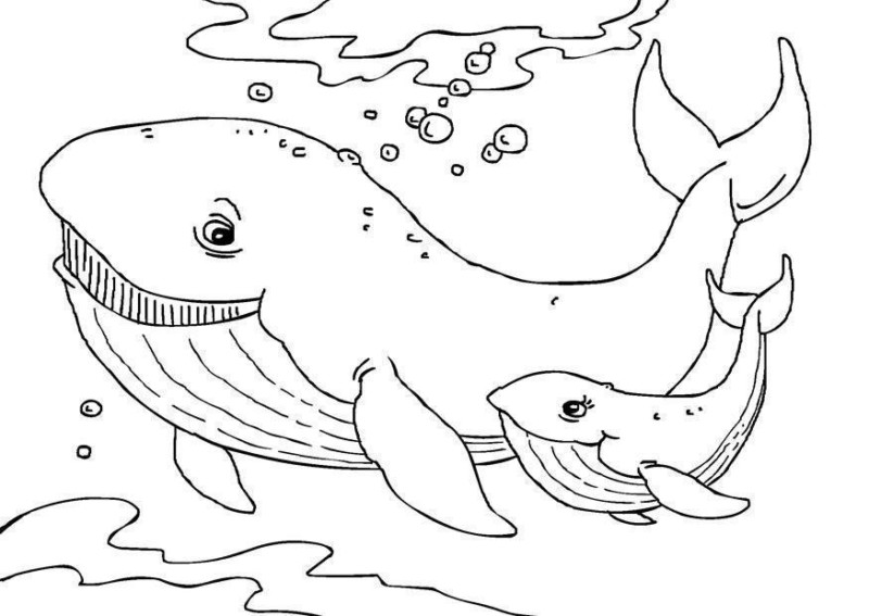 Desenho para colorir