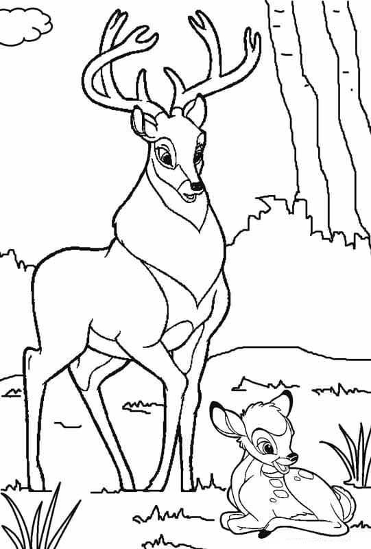 Desenho para colorir