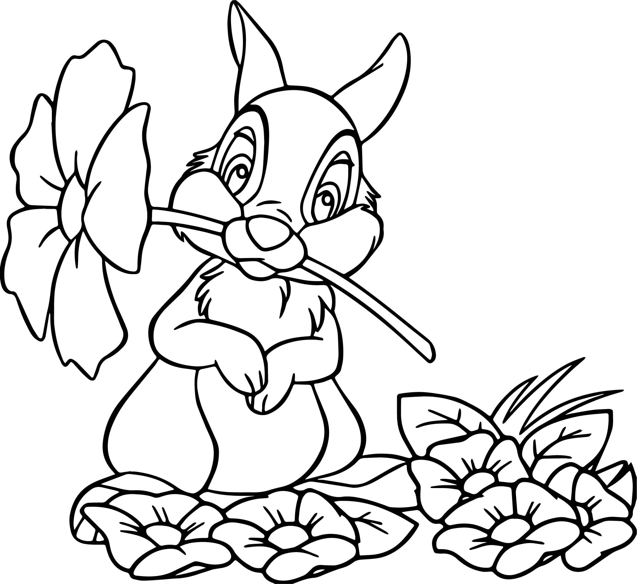 Desenho para colorir