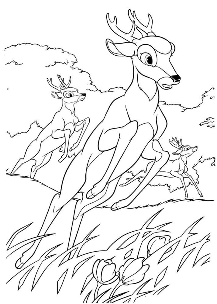 Desenho para colorir