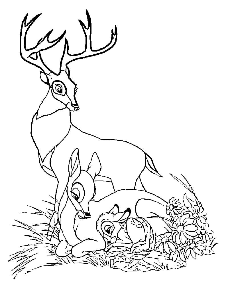 Desenho para colorir