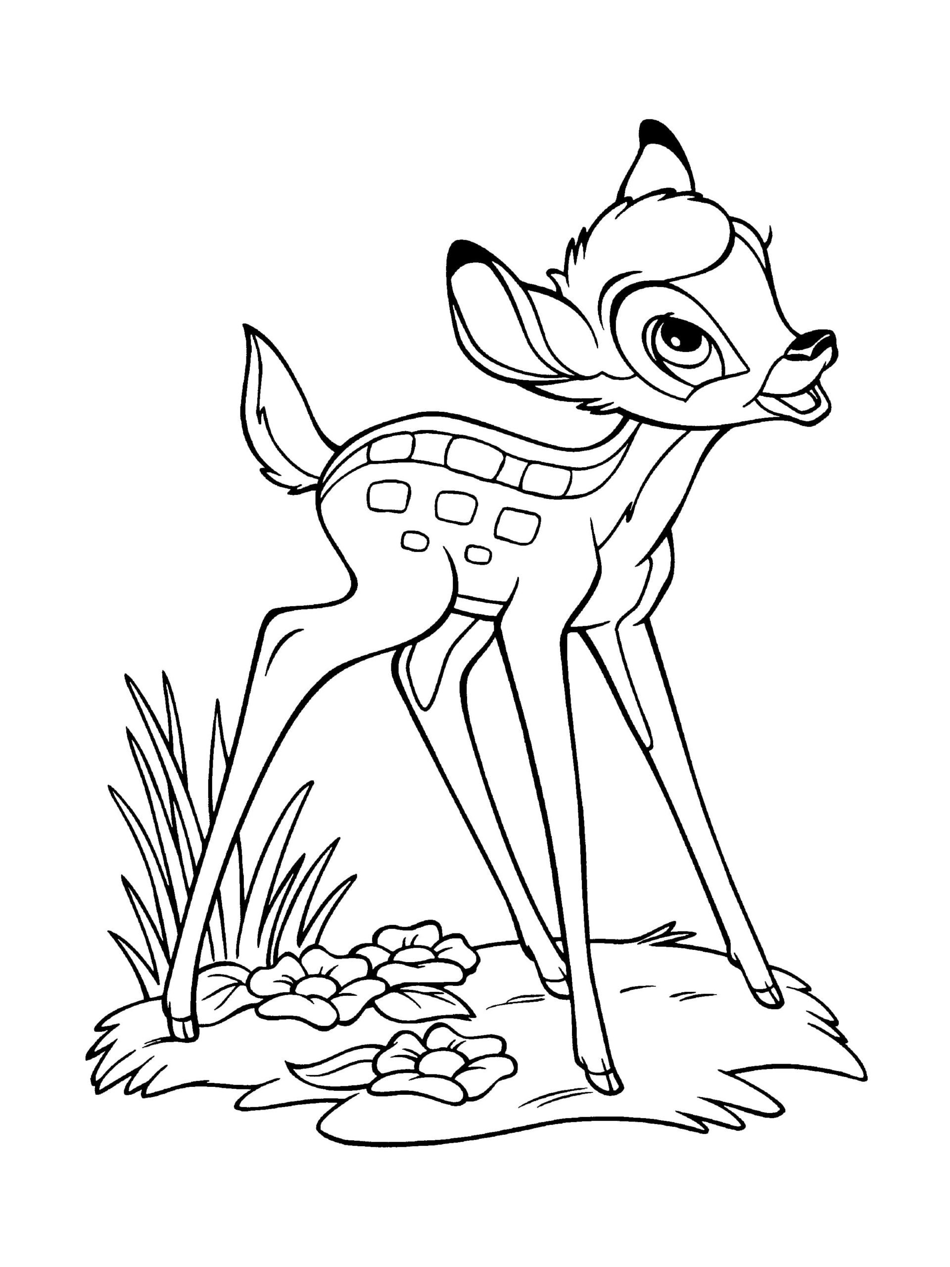 Desenho para colorir
