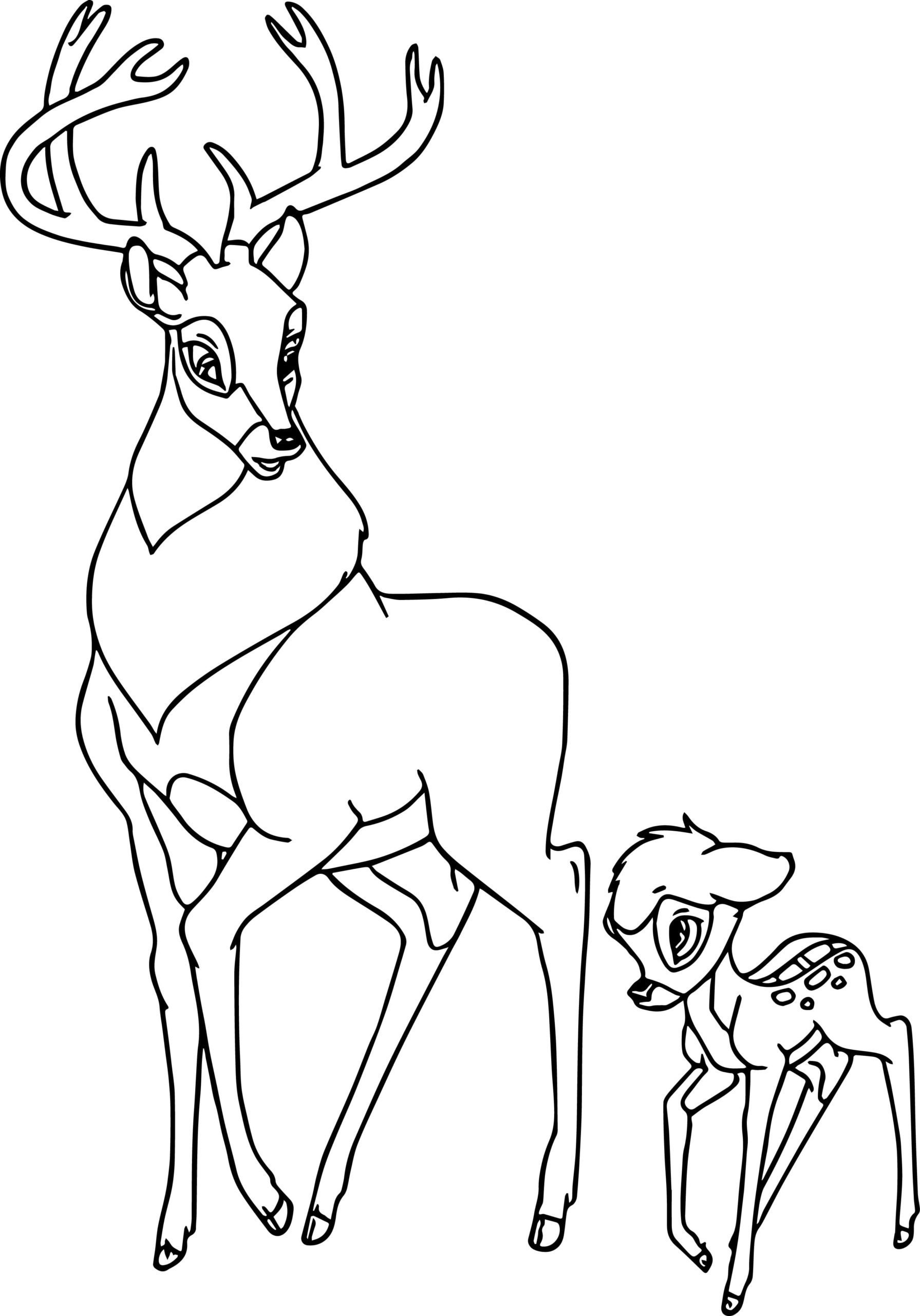 Desenho para colorir
