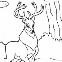 Desenhos para colorir Bambi