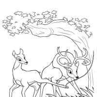 Desenhos para colorir Bambi