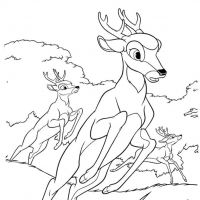 Desenhos para colorir Bambi