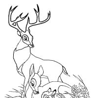 Desenhos para colorir Bambi