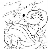 Desenhos para colorir Bambi