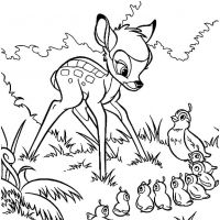Desenhos para colorir Bambi