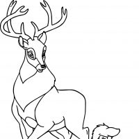 Desenhos para colorir Bambi