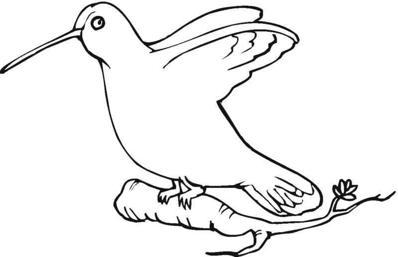 Desenho para colorir