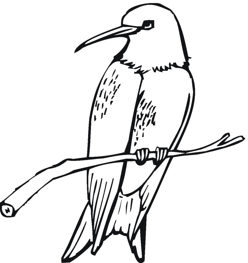 Desenho para imprimir