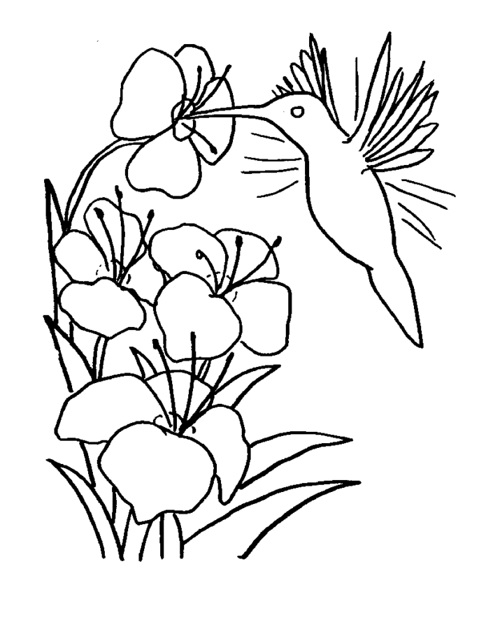 Desenho para imprimir