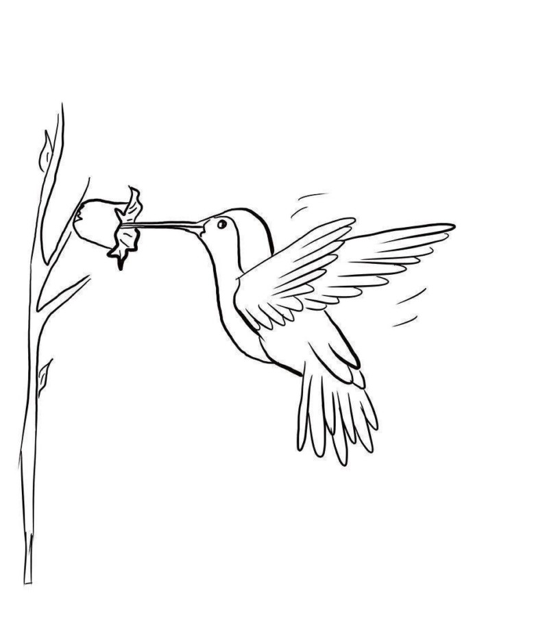 Desenho para colorir