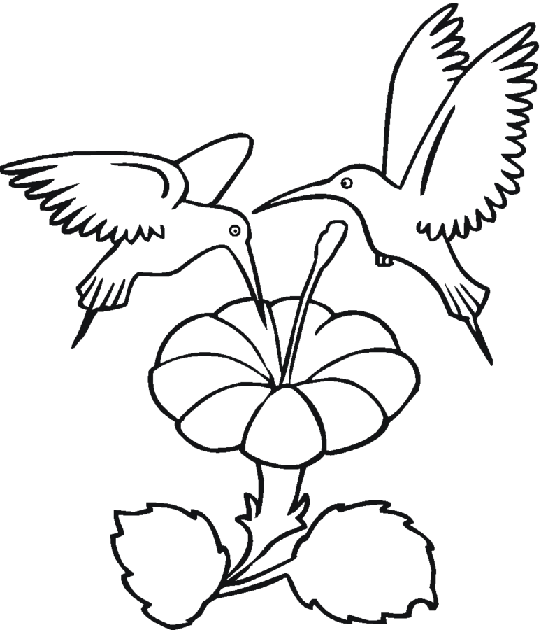Desenho para colorir