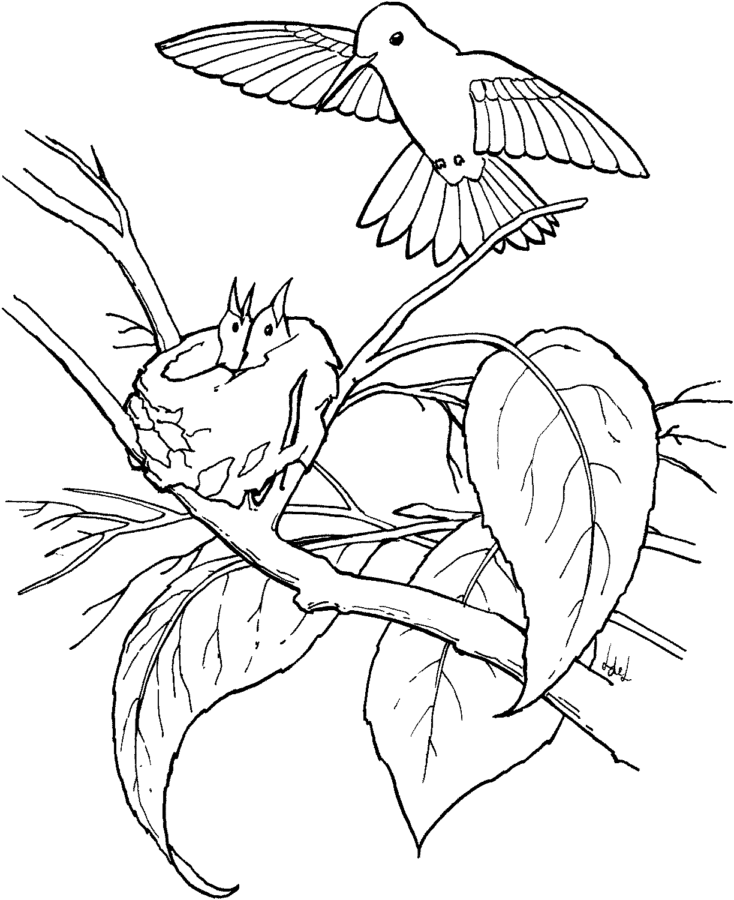 Desenho para colorir