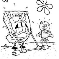 Bob Esponja