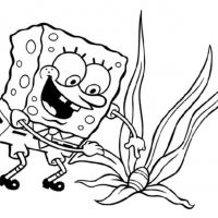 Bob Esponja