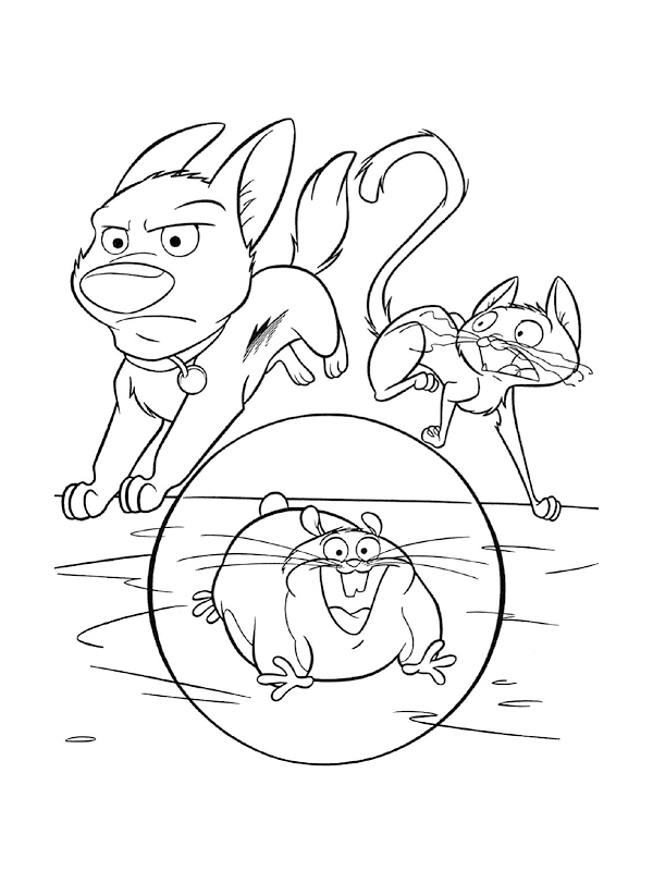 Desenho para colorir