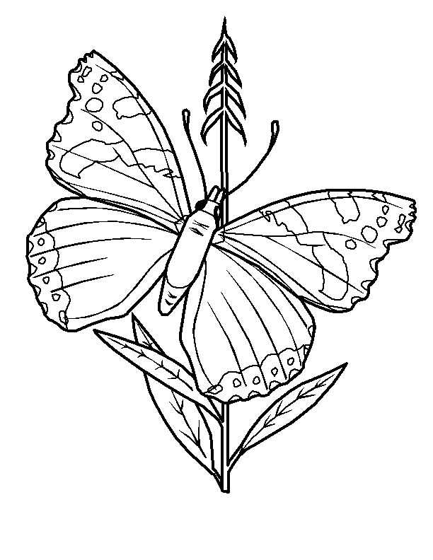 Desenho para imprimir