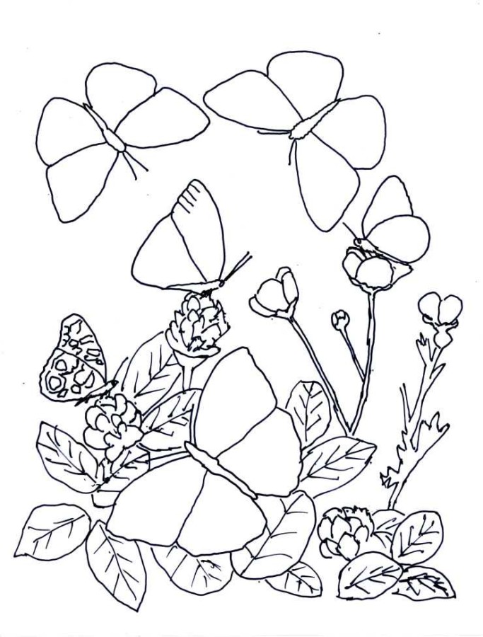 Desenho para imprimir