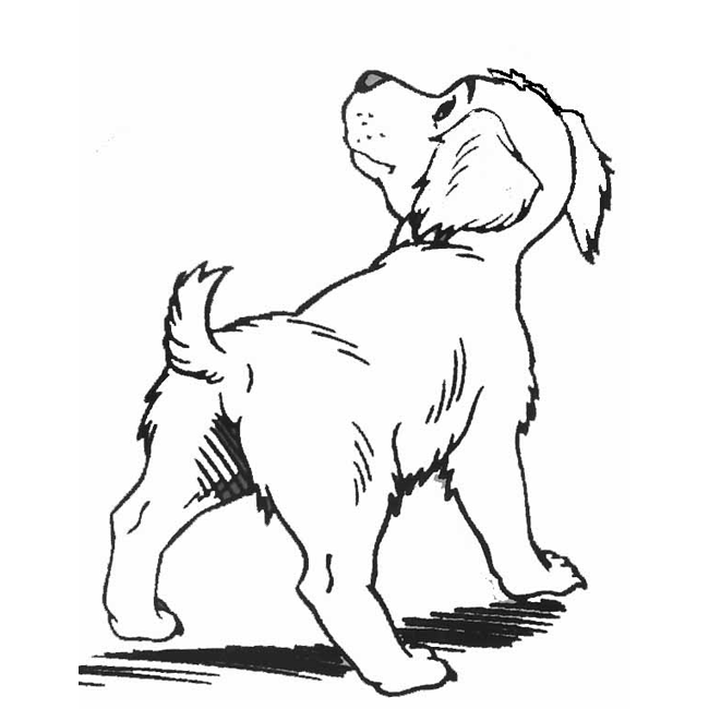 Desenho para colorir