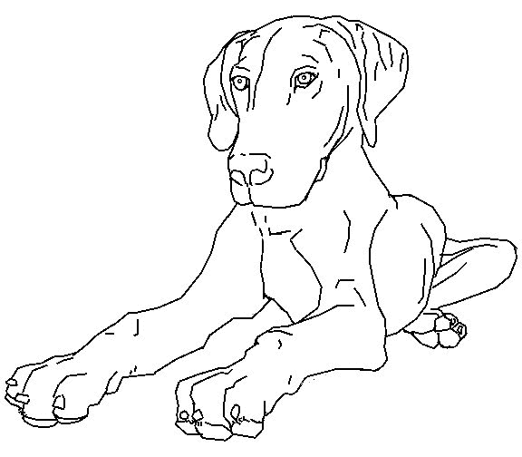 Desenho para colorir