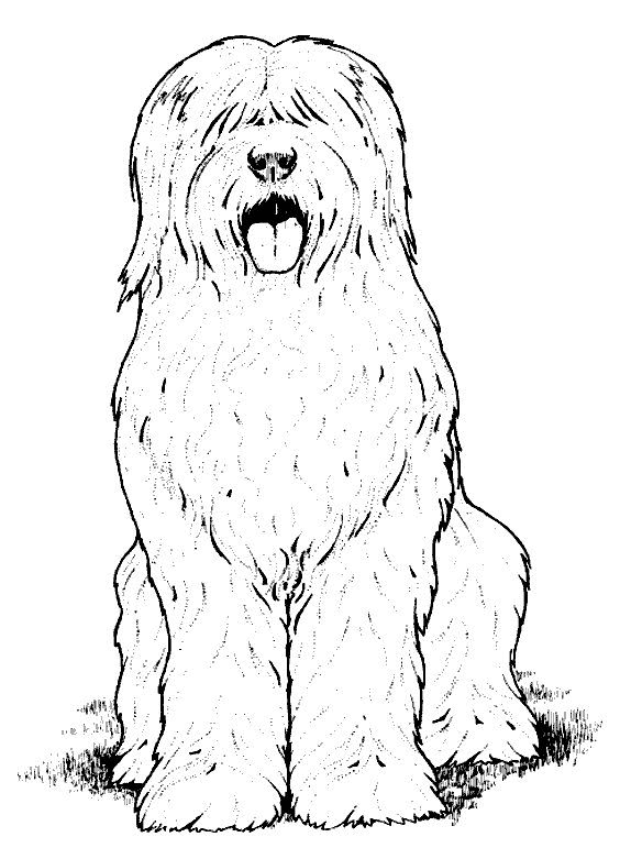 Desenho para colorir